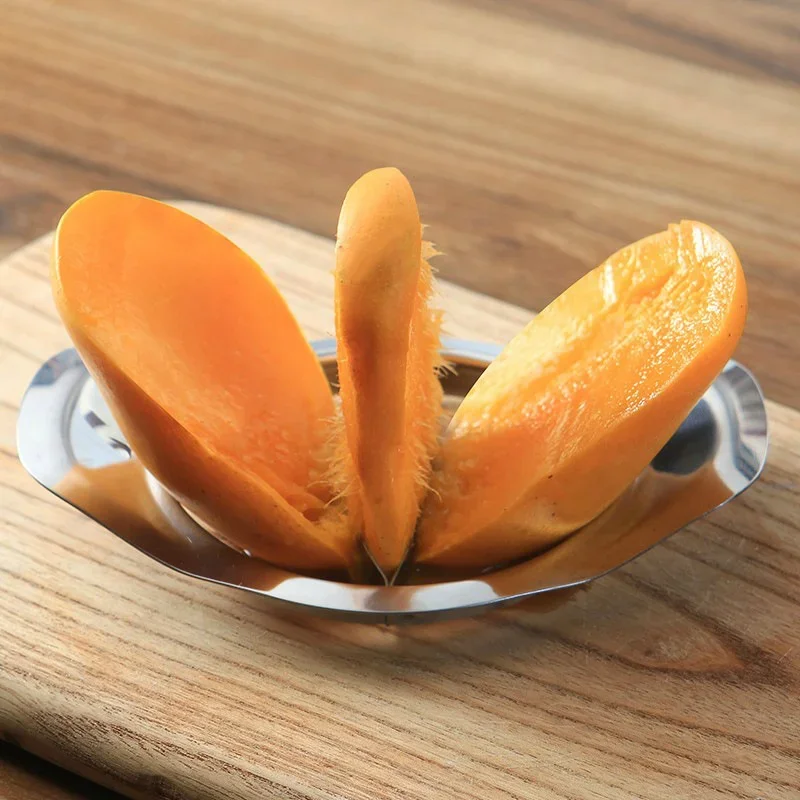 Stainless Steel Mango Cutter A - Apple Corer Slicer review and price